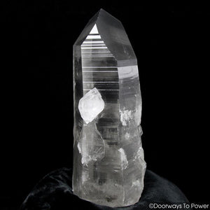 Black Lemurian Seed Phantom Quartz Inner Child Dolphin Crystal
