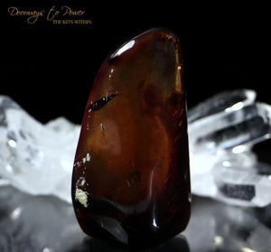 Sumatra Blue Amber 'Wonderful Substance & Organic Gem'