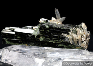 Aegirine Protection Crystal