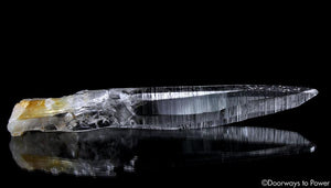 Colombian Lemurian Light Quartz Crystal Record Keeper Laser Wand