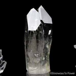 Lemurian Seed Quartz Record Keeper Crystal & Tantric Twin Starbrary