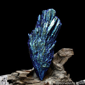 Aqua Aura Black Kyanite Crystal