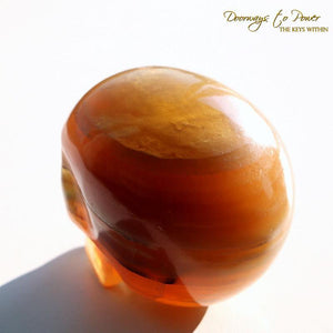 Hand Carved Crystal Skull