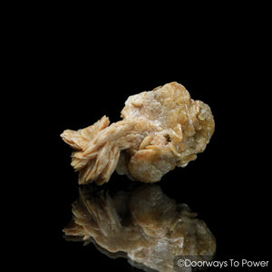 Golden Herderite Crystal Cluster