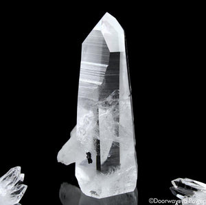 Lemurian Penetrator Quartz Temple Heart Dow Master Crystal 'Black Butterfly'