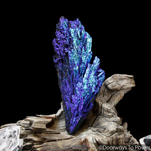 Black Kyanite Aura Angel Wing Crystal 'The Revival Stone'