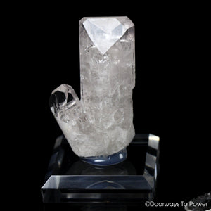 Danburite Synergy 12 Stone Twin Crystal Specimen Pyrite
