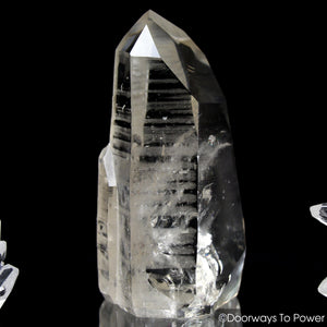 Golden Lemurian Star Seed Quartz Record Keeper Grounding Crystal RARE