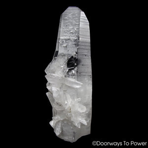 Lemurian Star Seed Quartz Crystal Record Keeper