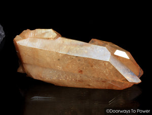 Lemurian Seed Tangerine Aura Imperial Gold Pleiaidan Starbrary Record Keeper Crystal