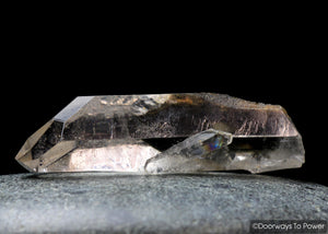 Brookite in Natural Quartz Record Keepers Dolphin Crystal Rare Synergy 12 Stone