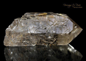 Golden Harmonics Spirit Paths Quartz Crystal 'Bridge to Infinity'