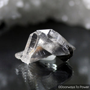 Brookite in Quartz Cluster Starbrary Twin Future Time Link Crystal Synergy 12 Stone RARE