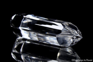 Galactic Golden Dolphin Vogel Healing Crystal Wand & Dow