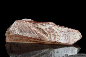 Scarlet Temple Rosetta Stone Cassiopeia Starbary Lightning Strike Lemurian Crystal