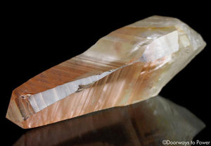 Tangerine Dream Lemurian Master Record Keeper Crystal Wand 'Densities & Doorways'