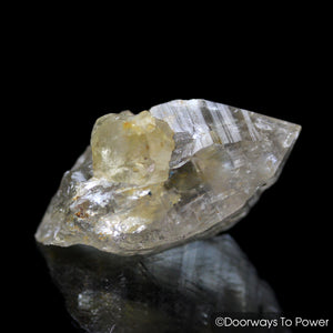 Golden Azeztulite Quartz Crystal Pleiadian Starbrary Azozeo Activated