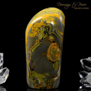 Bumble Bee Jasper Crystal