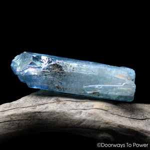 Aqua Aura Danburite Tantric Twin Crystal & Synergy 12 Stone