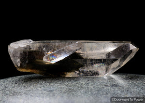 Brookite in Natural Quartz Record Keepers Dolphin Crystal Rare Synergy 12 Stone