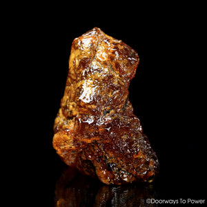 Kaurilite Rare Large A++ Natural Specimen