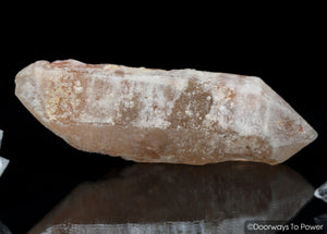 Tangerine Dreamsicle Lemurian Quartz Crystal Record Keeper