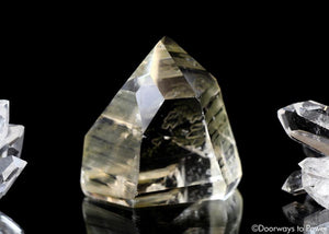 Golden Healer Lemurian Seed Record Keeper Crystal & Pleiadian Starbrary
