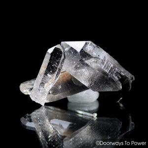 Brookite in Quartz Cluster Starbrary Twin Future Time Link Crystal Synergy 12 Stone RARE