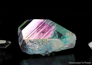 Angel Aura Lemurian Seed Quartz Crystal Record Keeper