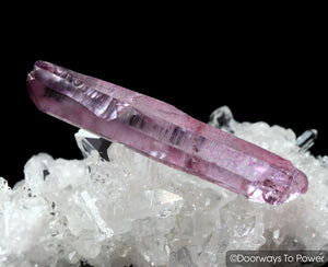 Pink Rose Aura Lemurian Seed Rainbow Quartz Crystal
