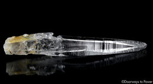 Colombian Lemurian Light Quartz Crystal Record Keeper Laser Wand