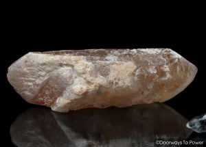 Dreamsicle Lemurian Quartz Crystal