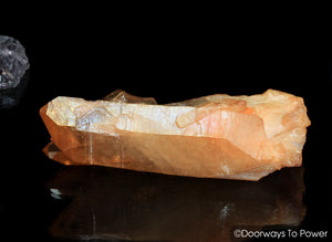 Lemurian Seed Tangerine Aura Imperial Gold Pleiaidan Starbrary Record Keeper Crystal