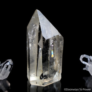 Lemurian Seed Pleiadian Starbrary Twin Record Keeper Crystal 'Museum Quality'