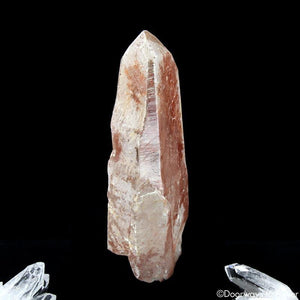 Scarlet Temple Rosetta Stone Cassiopeia Starbary Lightning Struck Lemurian Crystal