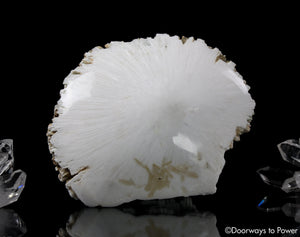 Scolecite Synergy 12 Stone