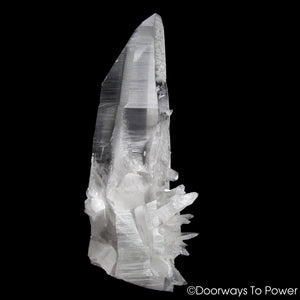 Lemurian Star Seed Quartz Crystal Record Keeper