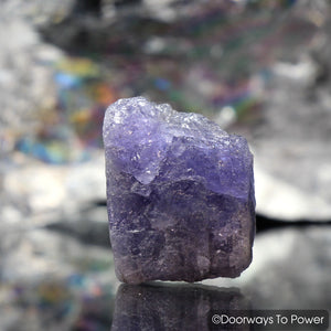 Tanzanite Raw Crystal & Synergy 12 Stone