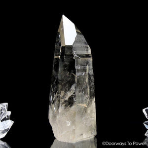 Golden Lemurian Seed Record Keeper Crystal & Pleiadian Starbrary