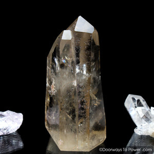 Golden Lemurian Seed Tantric Twin Record Keeper Crystal Point (RARE)