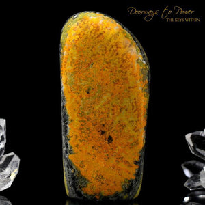 Bumble Bee Jasper Crystal