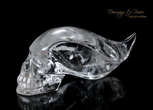 Leandro de Souza Crystals SKulls