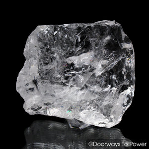 Satyaloka Azeztulite Crystal Synergy 12 Stone w/ Record Keeper + Pleiadian Starbrary