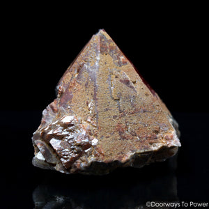 Trigonic Record Keeper