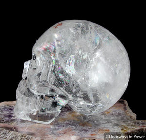 XL Sirius Quartz Crystal Skull 'Advanced Harmonically Aligned'