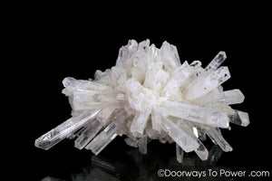 Danburite Crystals Cluster 'Rays of Light' Tantric Twin & Pleiadian Starbary