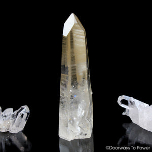 Golden Healer Lemurian Seed Pleiadian Starbrary Record Keeper Dolphin Crystal