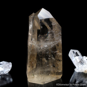 Golden Lemurian Seed Tantric Twin Record Keeper Crystal Point (RARE)