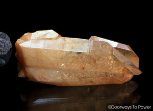 Lemurian Seed Tangerine Aura Imperial Gold Pleiaidan Starbrary Record Keeper Crystal