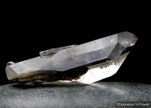 Brookite in Natural Quartz Record Keepers Dolphin Crystal Rare Synergy 12 Stone